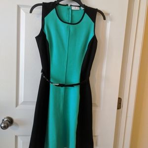 New York & Company knee length dress